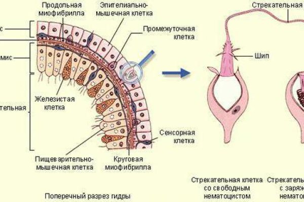 Как вернуть аккаунт кракен