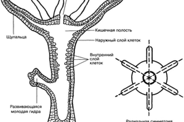 Ссылки на кракен зеркала