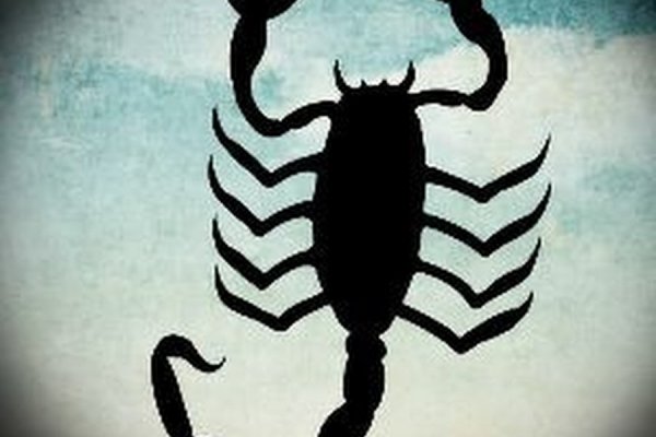 Kraken это